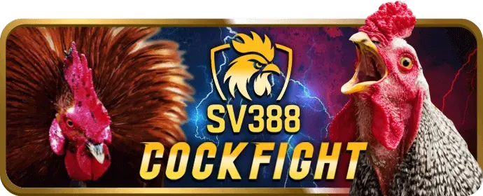Trải nghiệm casino trực tuyến ok8368